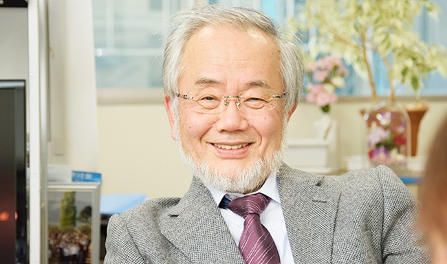 Yoshinori Ohsumi har gjort upptäckter som resulterat i ett paradigmskifte i föreståelsen för hur celler bryts ner och återvinner cellulärt material.  Foto: Shutterstock